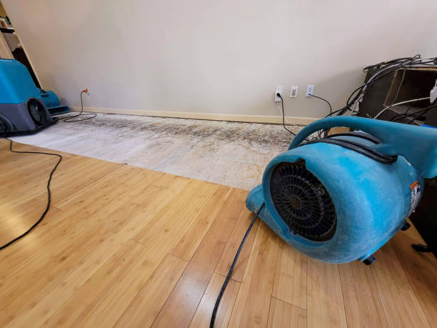 Professional Ceiling Water Damage Repair technician working in Vancleave, MS